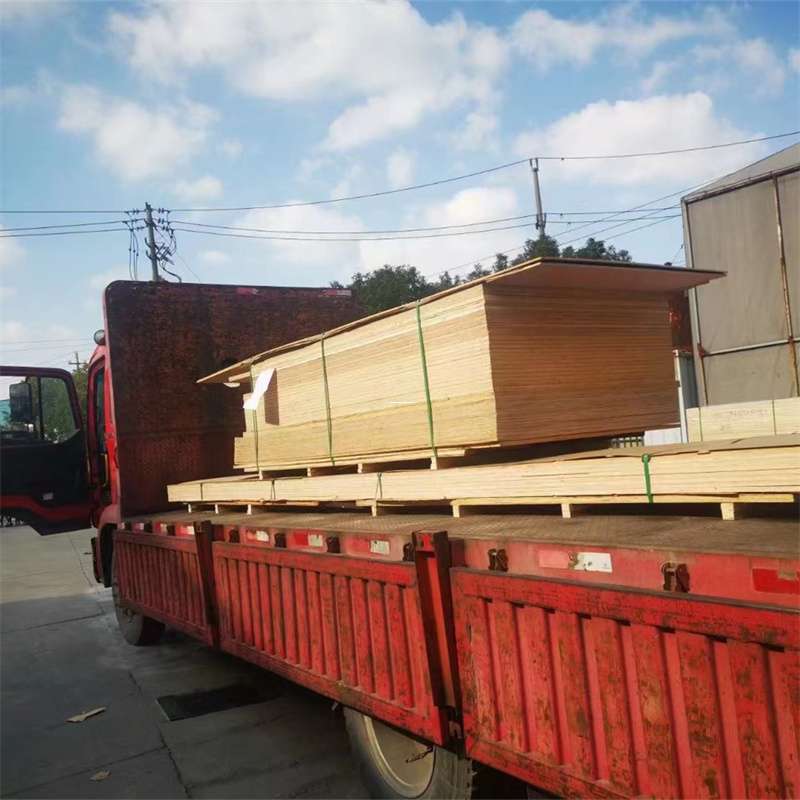辽宁辽阳文圣至塔城货运专线，一站式物流服务助您成功